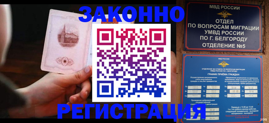 прописка 2025 в Чудово
